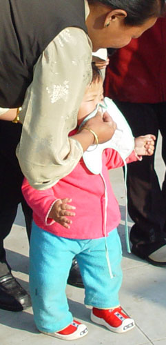 Lo Sar 2003