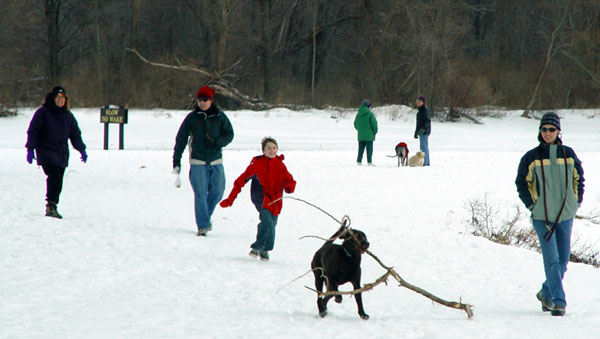 Ithaca Dog Park